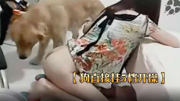 3d开机号今天近100期南方双彩网美女免费看久久av免